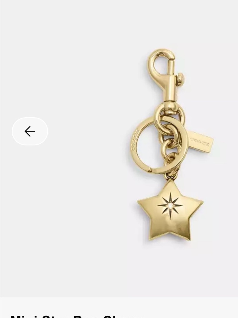 Coach Gold Star Key & Bag Charm